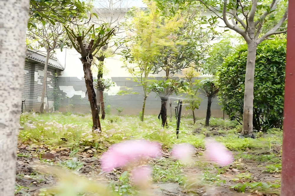 WPS圖片(2)(1).png